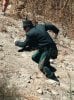 Green Hornet Picture