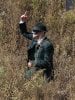 Green Hornet Picture