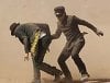 Green Hornet Picture