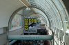 Comic-Con Picture