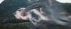 Fantastic Four: Rise of the Silver Surfer Picture