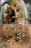 Man-Thing Picture