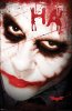 Batman: The Dark Knight Picture