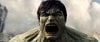 The Incredible Hulk Picture, Added: 9/3/2008