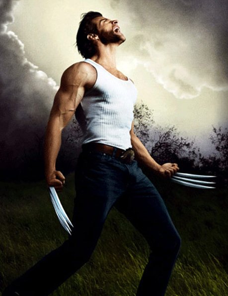 Wolverine