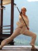 Elektra Picture
