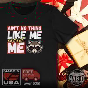 No Thing Like Me - Rocket Raccoon T-Shirt