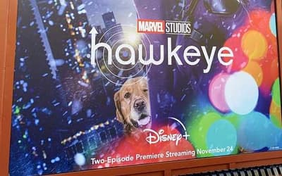 HAWKEYE Poster Spotted At Disneyland Reveals New Look At Clint Barton, Kate Bishop, And Pizza Dog