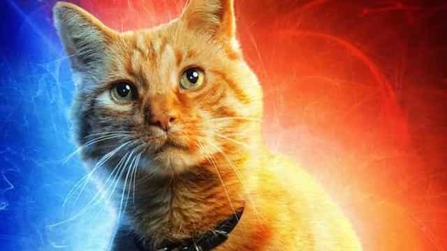 CAPTAIN MARVEL: Here's Why Chewie Was Renamed "Goose" In The Marvel