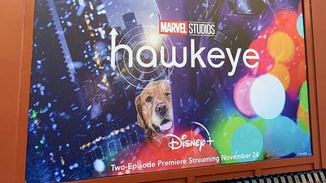 HAWKEYE Poster Spotted At Disneyland Reveals New Look At Clint Barton, Kate Bishop, And Pizza Dog