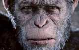New PLANET OF THE APES Movie In Development From MAZE RUNNER Director Wes Ball