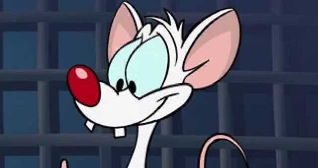 ANIMANIACS: Rob Paulsen Reveals British Humor Crafted The Voices Of Pinky And Dr. Scrathansniff - Vimarsana News