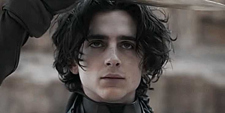 DUNE Star Timothee Chalamet Set To Play Willy WONKA In Warner Bros.' Origin Story - Vimarsana News
